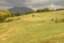 foto-impianti-06